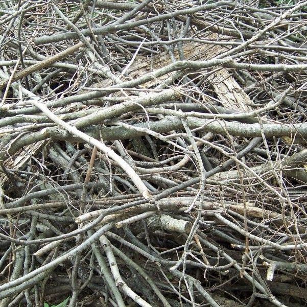 Brush Removal Weaverville