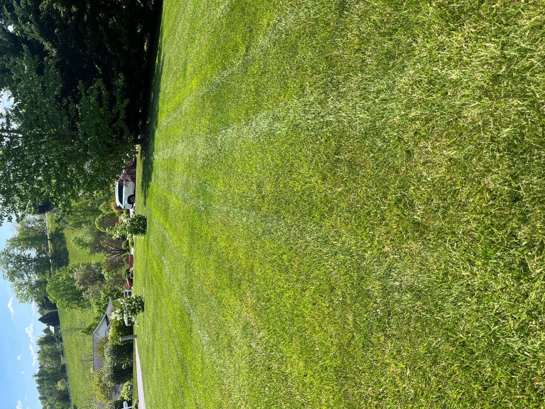 Perfectly trimmed hedges
