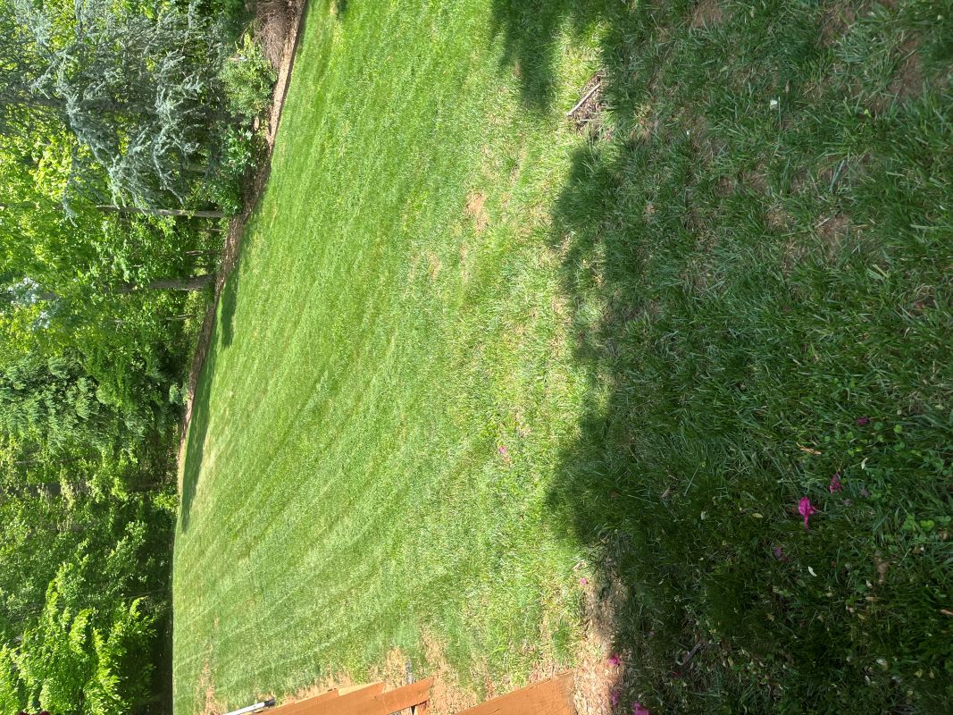 Leaf-free yard