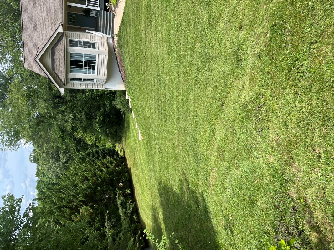 Flower bed cleanup